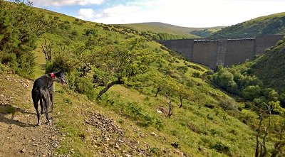 Pegs reservoir walk.jpg