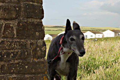 Peggy, no longer hidden behind the wall.