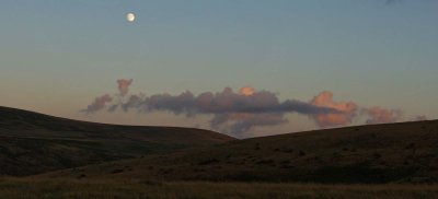Moon Over Belstone common