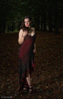 Down in the woods- Red Dress.