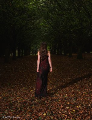 Down in the woods- Red Dress 2.