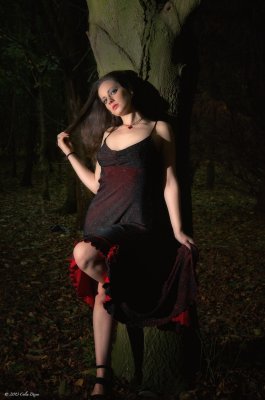 Down in the woods- Red Dress 3