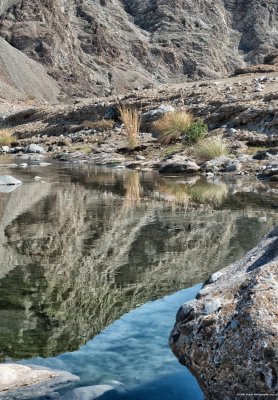 Wadi Reflections.