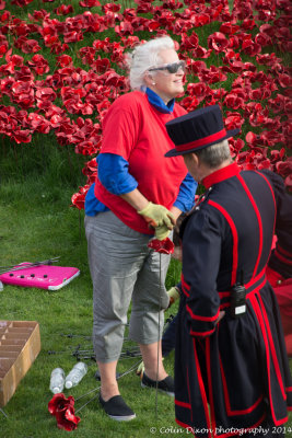 Getting the poppy ready for planting