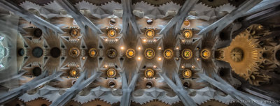 Sagrada Familia the Ceiling
