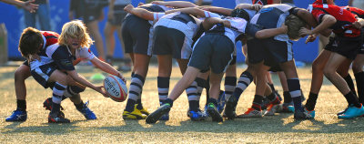 Rugby_Gallery