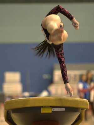 Artistic Gymnastics_Gallery