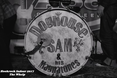 Doghouse Sam & his Magnatones (BE/NL)