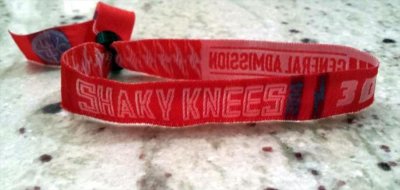 Shaky Knees Music Festival - May 2014