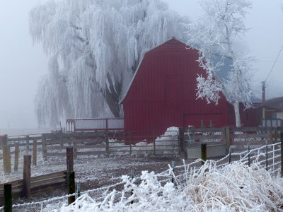 A Colorful Barn in the Frost