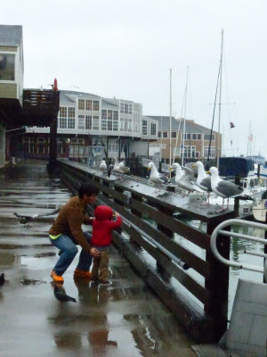 Daddy Teaching his Boy to Feed the Sea Gulls