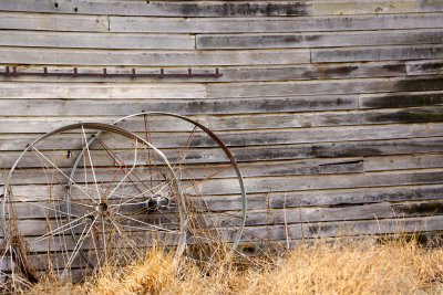 Two Abandoned Irrigation Wheels