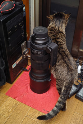 120-300mm F2.8 & USB Dock & Chocola