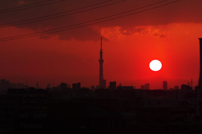 evening Tokyo Skytree