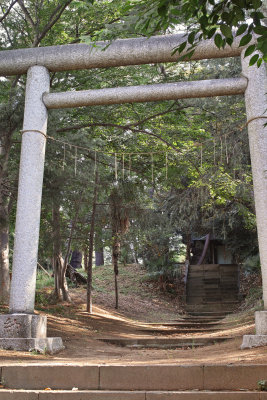 Kasuga Shrine #2