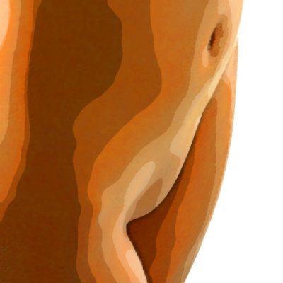24crea.jpg