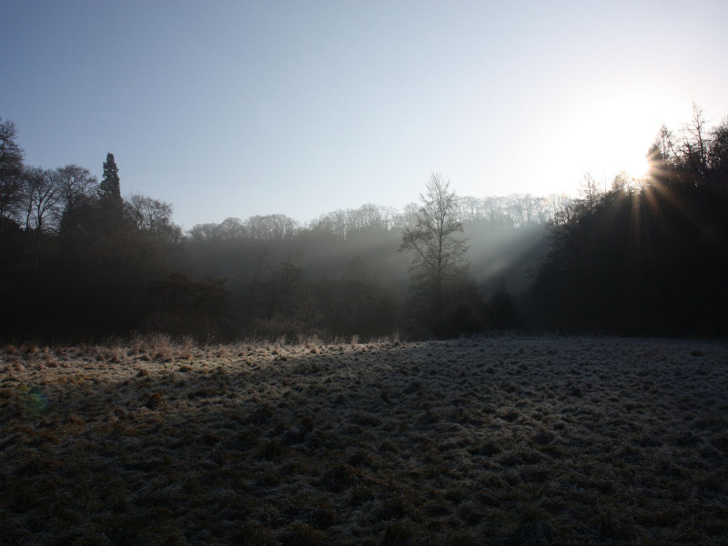 We Walked on Frosted Fields
