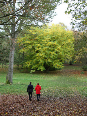An Autumn Walk - Thorpe Perrow Arboretum