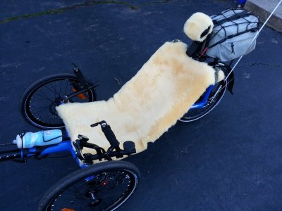 Catrike9.jpg