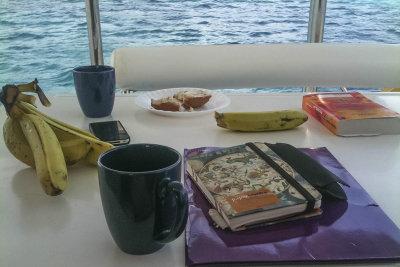 Reading, healthy food and coffee, whose boat is this?