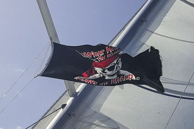 Flying our colors