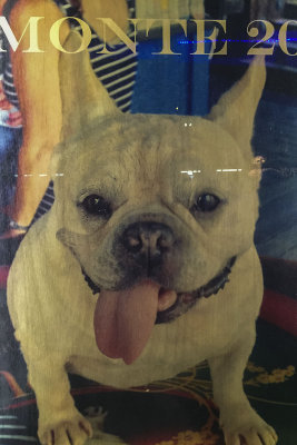 Doghouse Pub mascot