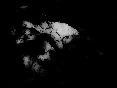 life beneath the sea 2