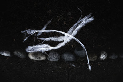 What happened when our paths first crossed