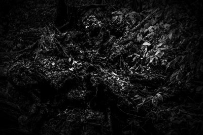 howl over the fallen