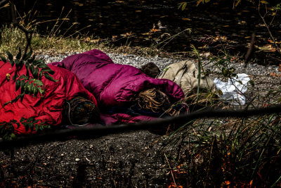 sleeping on the road