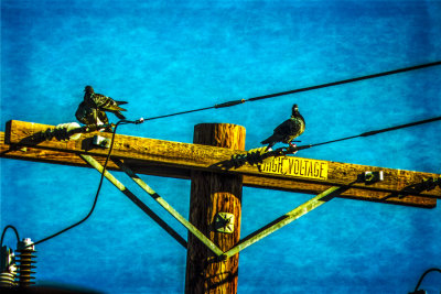 HIGH VOLTAGE