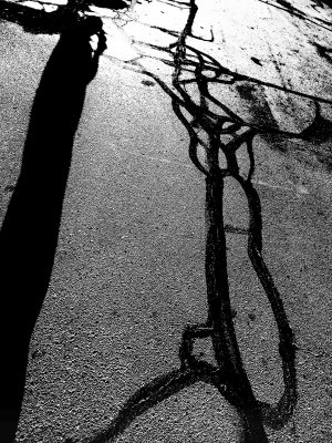 the tangled web we weave