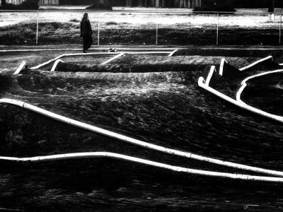 tragedy on the racetrack