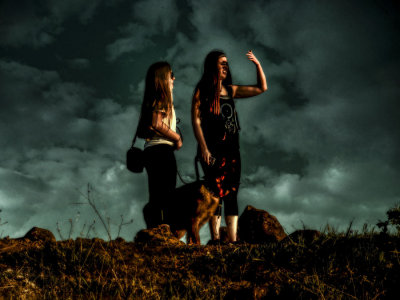 The guide dog