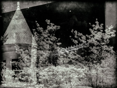 g9/55/378855/3/160188897.WEgdtJeJ.jpg