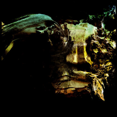 forest guardian