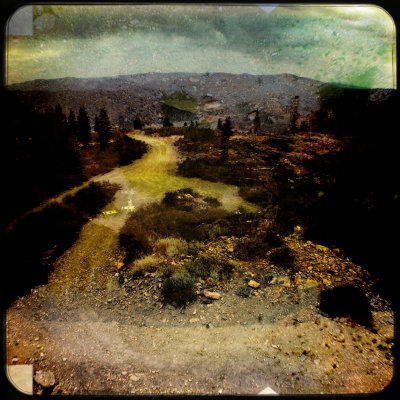 the road to oz