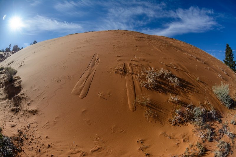 Coral Pink Sand Dunes