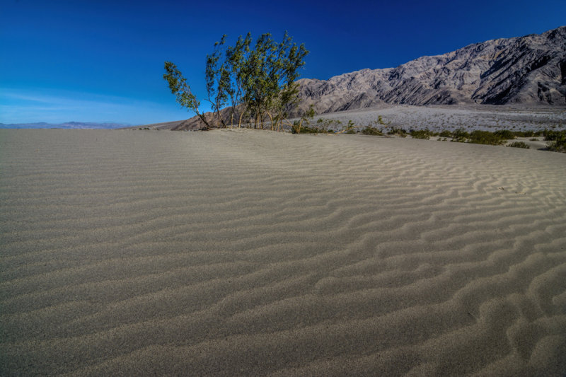 Death Valley sand dunes