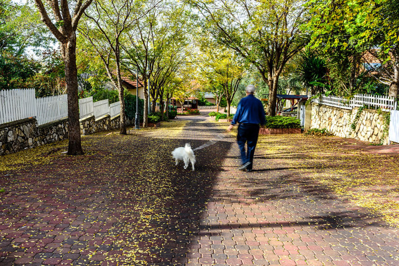 Autumn stroll