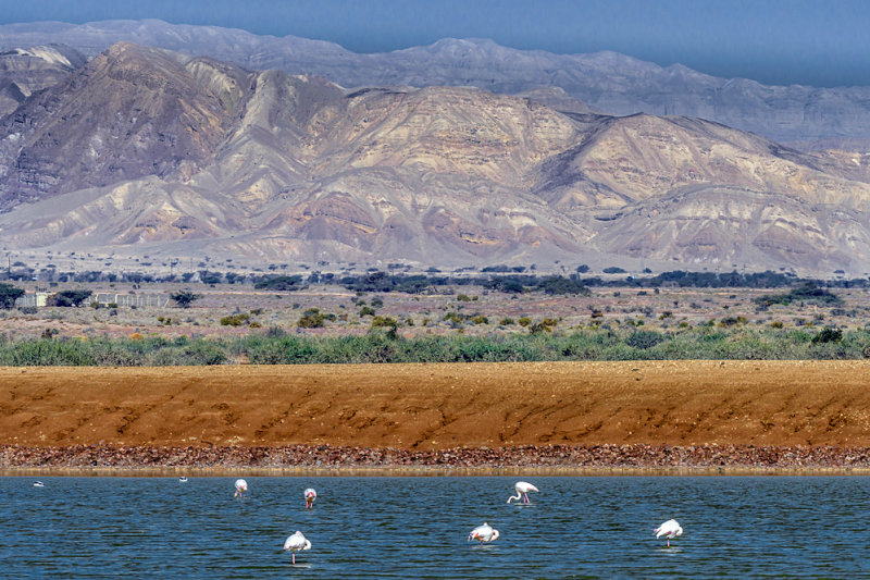 Salt Ponds - Eilat