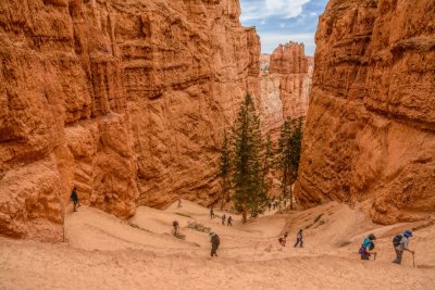 Bryce canyon