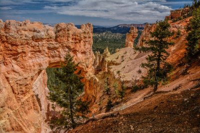 Bryce canyon