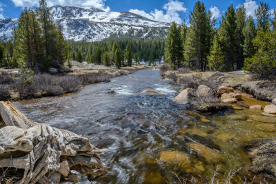 In Yosemite