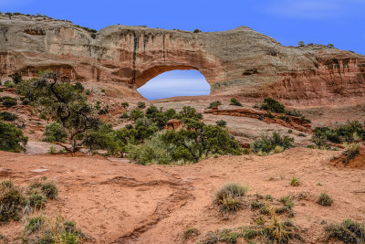 Arches in canyonlands