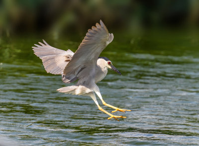 Emergency landing