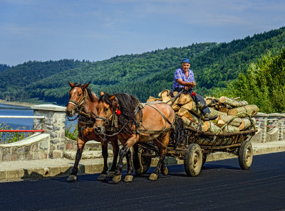 Two horse power