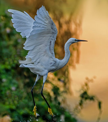 Flight on First Light