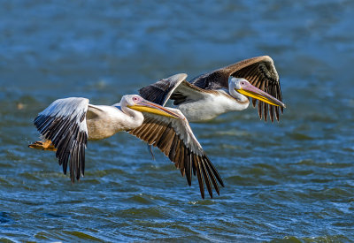 Flying in tandem