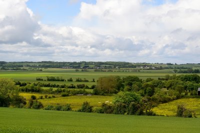 Normandy fields & hedges